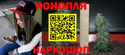 a pvp Краснознаменск