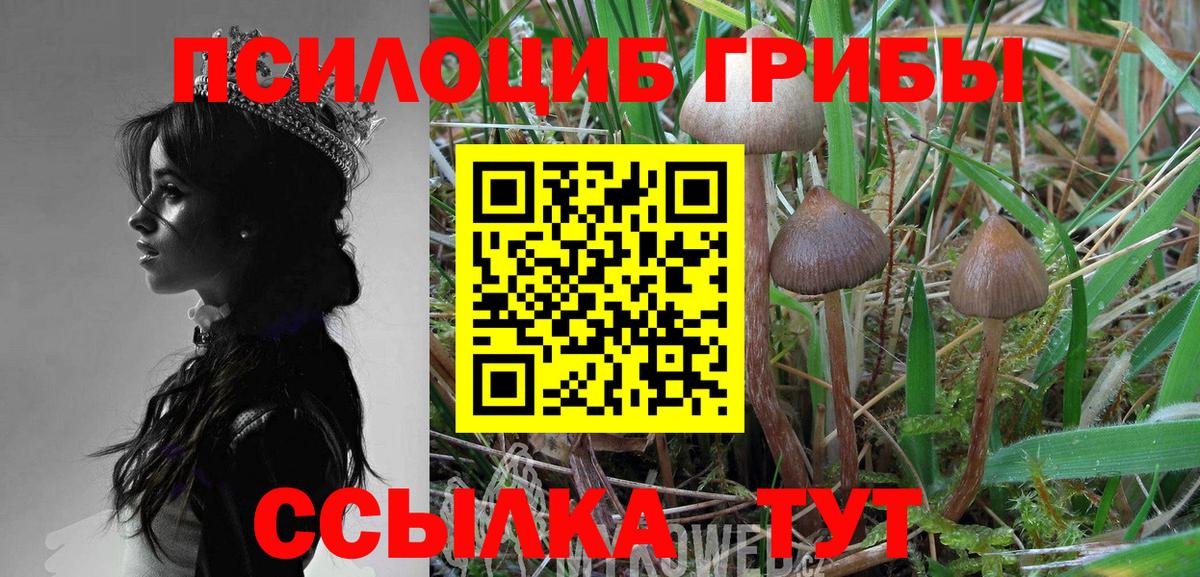 Кострома  Псилоцибиновые грибы Cubensis  Псилоцибиновые грибы прущие грибы  Вход с VPN 